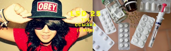 спиды Гусев
