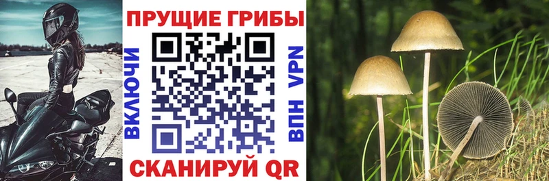 Купить где  Малоархангельск  Псилоцибиновые грибы ЛСД 